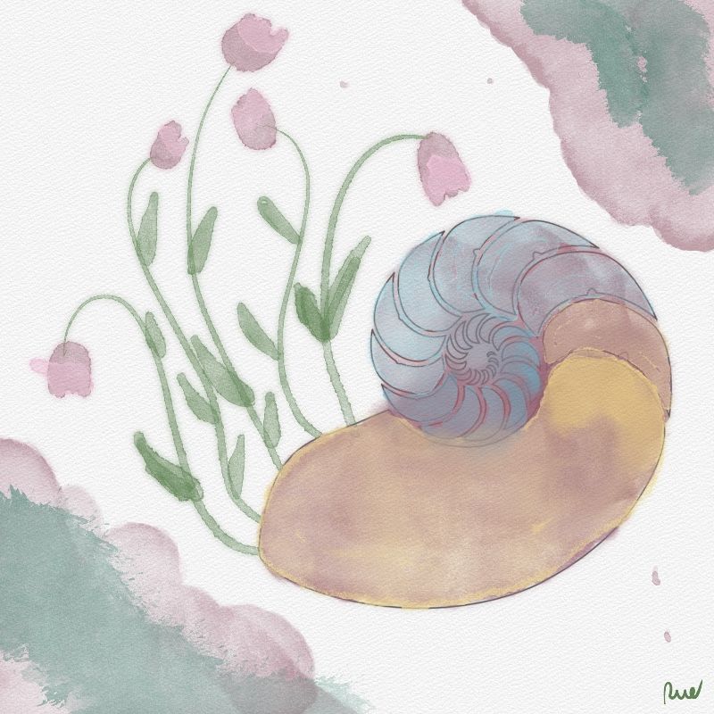 Arttober 2025, Day 9: Shell
